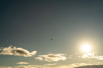 Bird Flying Through Sky Clouds Bright Light Sunset