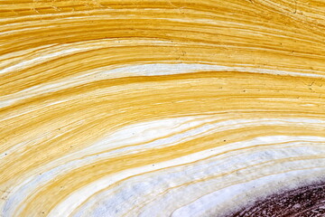 Foam on the water surface of the river after a waterfall close-up in spring