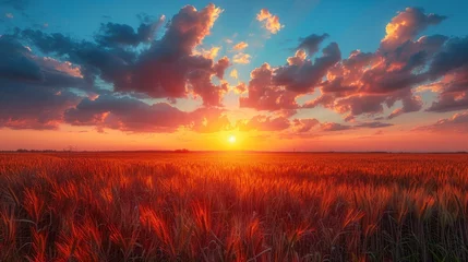 Poster Magical orange Summer Sunset Sky Above Countryside Rural Meadow Landscape. © haizah