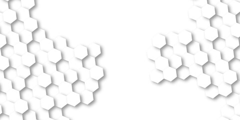 Minimal Background with white and black lines 3d Hexagonal structure futuristic white background and Embossed Hexagon , honeycomb white Background ,light and shadow ,Vector.