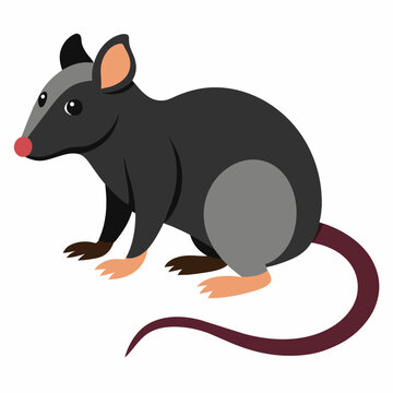 Rat animal pet vector illustration draw cartoon pretty cute
