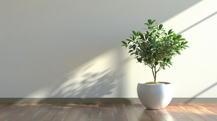 render of a small tree in a white planter on a hardwood floor