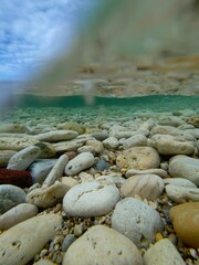 underwater world of fish underwater in shallow water