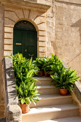 Fototapeta na wymiar Entrance door and stairs of an old house with green plants in flower pots lining the steps.