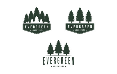 set of pine tree evergreen logo design  vintage retro badge