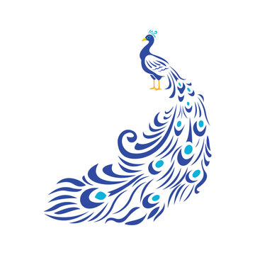 Peacock design with floral style tail feathers vector