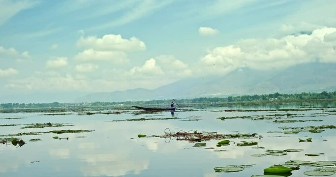 Scenic View of Boat Passing Through Lotus Leaves on Dal Lake, Srinagar Kashmir with Cloudy Sky and Beautiful Water Reflections