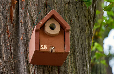 Tree house for small birds