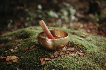 Golden singing bowl for kinesiology on green moss