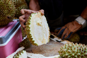 People Peeling durian by merchant hand