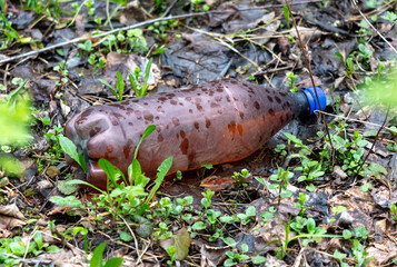 A plastic bottle on the ground in the park looks like trash