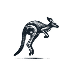 The jumping kangaroo. Black white vector illustration.