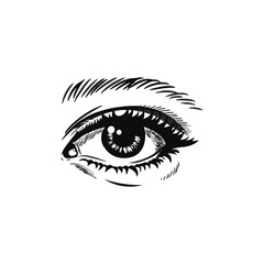 eye vector