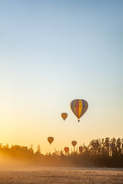 Colourful hot air balloons in the sky above misty paddock