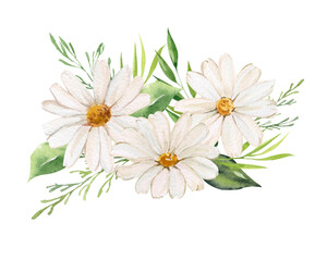 Watercolor composition with chamomile flowers and leaves. Illustration of a bouquet of daisies with greenery isolated on a white background. Design and decoration of cards, greetings and invitations.