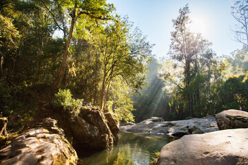 Beautiful riverside scenery of trees and creek with sun beams of silver light