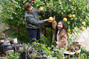 Grandmother and granddaughter sharing a delightful moment picking pomelos in a garden.