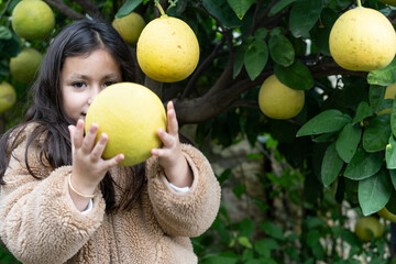 Young Girl Smelling Fresh Pomelo Picked from a Backyard Tree.