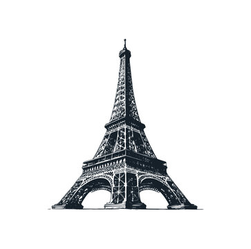 The Eiffel tower. Black white vector illustration.