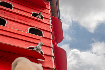 Man feeding the pigeon Columbidae on the national park. The photo is suitable to use for farm poster and animal content media.