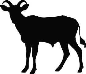 Goat Silhouette illustration Vector White Background