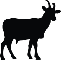 Goat Silhouette illustration Vector White Background