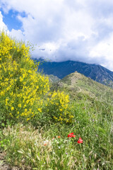 Corsica, the ruin of the Pasciola fortress in the mountain, wild landscape
