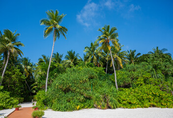 Dense green forest with palm trees behind the sandy beach. Blue sky.