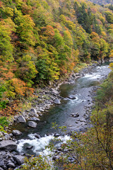 北海道占冠村、色づき始めた秋の鵡川【10月】