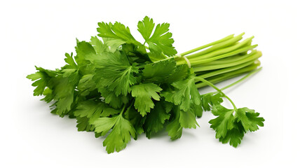 Fototapeta premium Pure white background with a bunch of parsley isolated on it