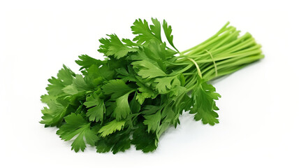 Pure white background with a bunch of parsley isolated on it