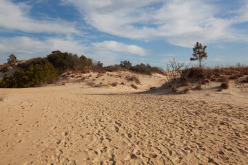 A scenic view of sand dunes at Jockey's Ridge State Park in the Outer Banks in North Carolina.