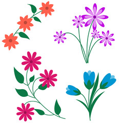 Set of flowers. Spring and summer flowers. Floral set