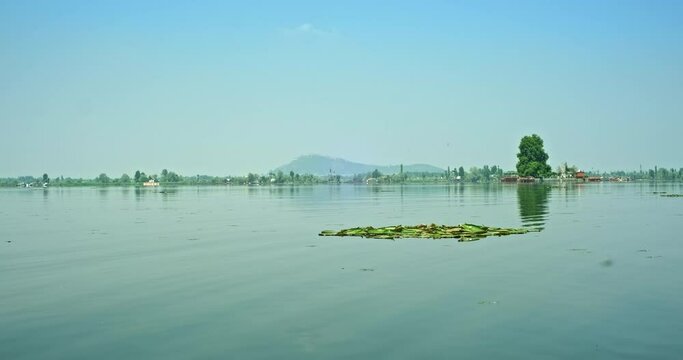 Peaceful view of Dal Lake in Srinagar, Kashmir, filmed from a moving boat, with a small patch of lotus leaves floating on calm water and a scenic mountain landscape under a clear blue sky.