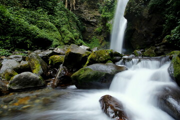 Obraz premium Tranquil Oasis: Serene Lake Nestled Among Verdant Riparian Beauty