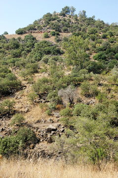 Stream and pond Meshushim in Israel