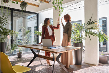 Two smiling female employees or entrepreneurs, happy professional business women celebrating work success and partnership support together giving high five standing in green office. Authentic photo.