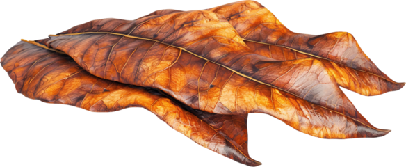dry leaves isolated on white background, dry leaves
PNG, Brown Leaves, Autumn, Fallen Leaves, leaves isolated png transparent alpha no background