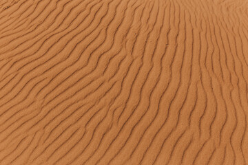 sand dunes in the desert