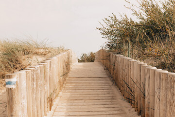 boardwalk in dunes