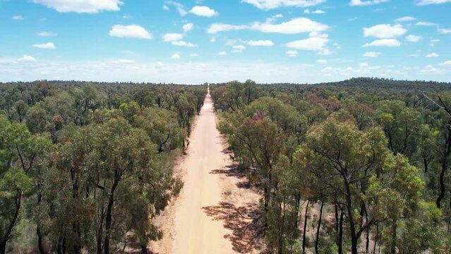 Pilliga forest in Australia