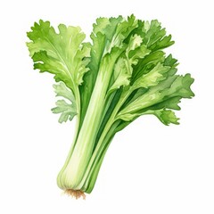 watercolor celery