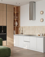 Modern minimalist kitchen-living room