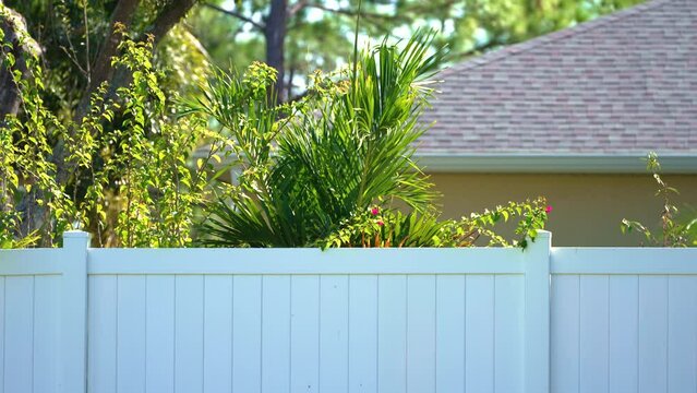 White plastic fence for back yard protection and privacy. Vinyl plank fencing in Florida