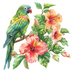 Bird parrot hibiscus jungle watercolor isolated on White