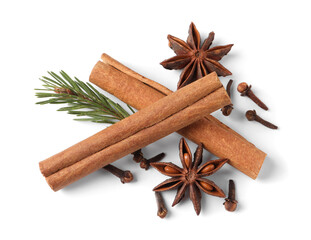 Different spices and fir branch on white background, top view
