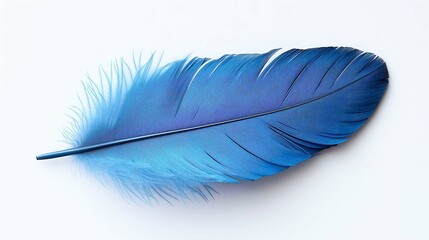 Blue feathers and hyacinth blooms in a white isolated background	