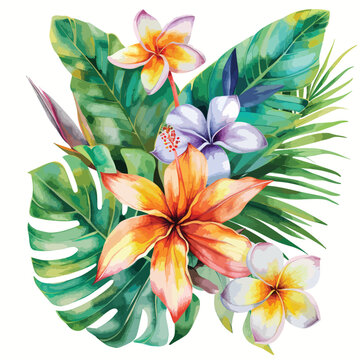 Strelitzia flower watercolor illustration palm 