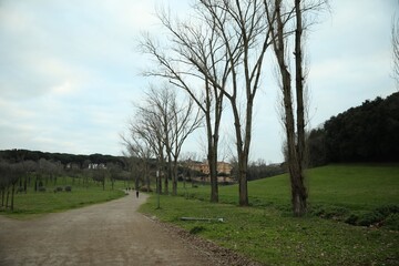 Picturesque view of beautiful green park with pathway and trees on cloudy day