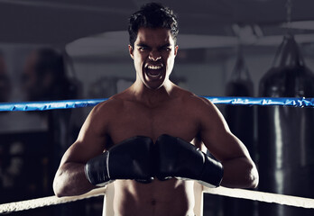 Boxer, man and gym with shout, boxing ring and scream for workout or training. Person, exercise and...